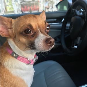 Meet your Posher, Maureen